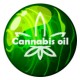 Cannabis Oil - vaistas nuo hipertenzijos